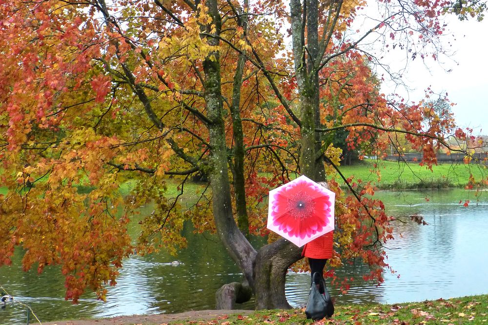 Photograph by Olga Smirnova