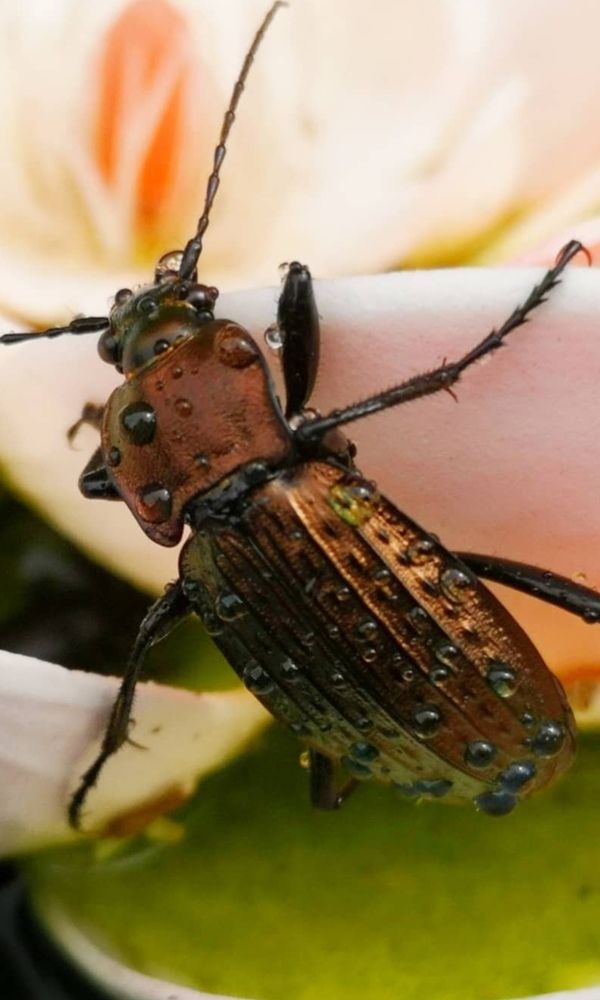 Photograph by Alen Brkić