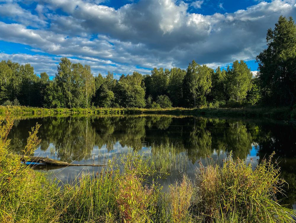 Photograph by Виктория Лаур