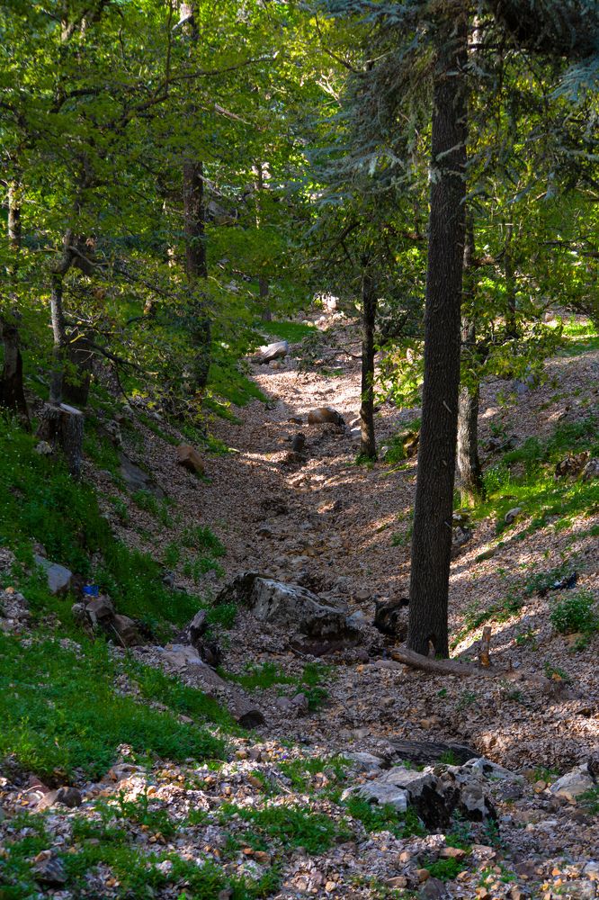 Photograph by Bachir Rabouh