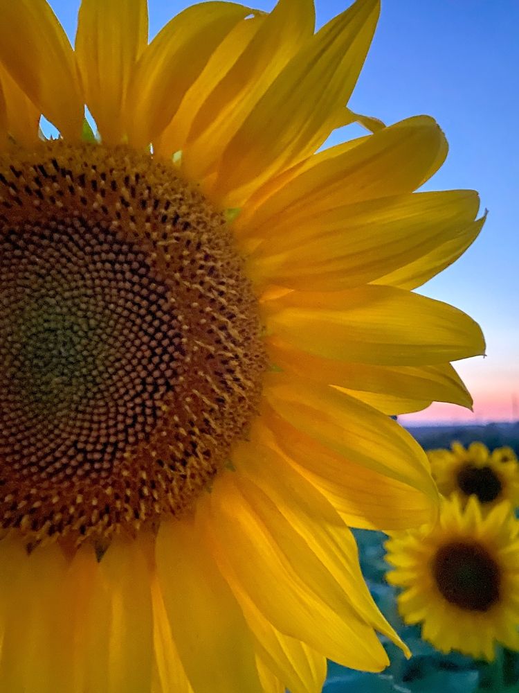 Photograph by Яна Лугинина