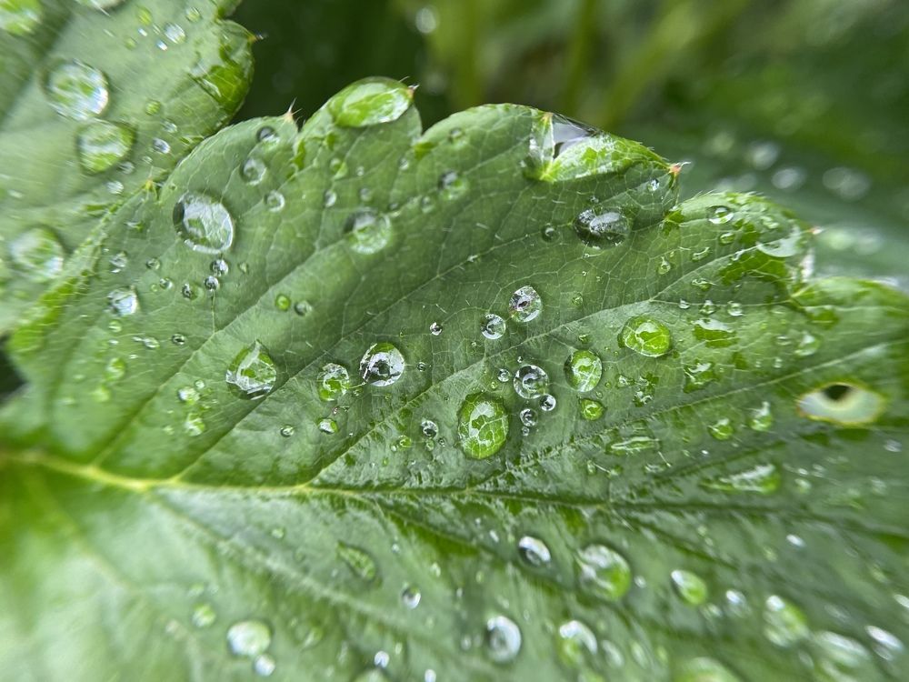 Photograph by Виктория Лаур