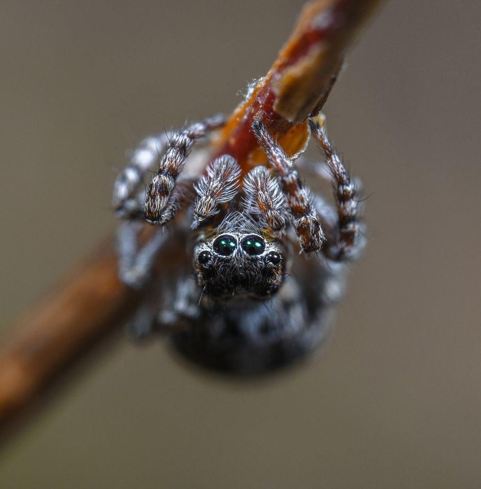 Photograph by Овечкин Павел