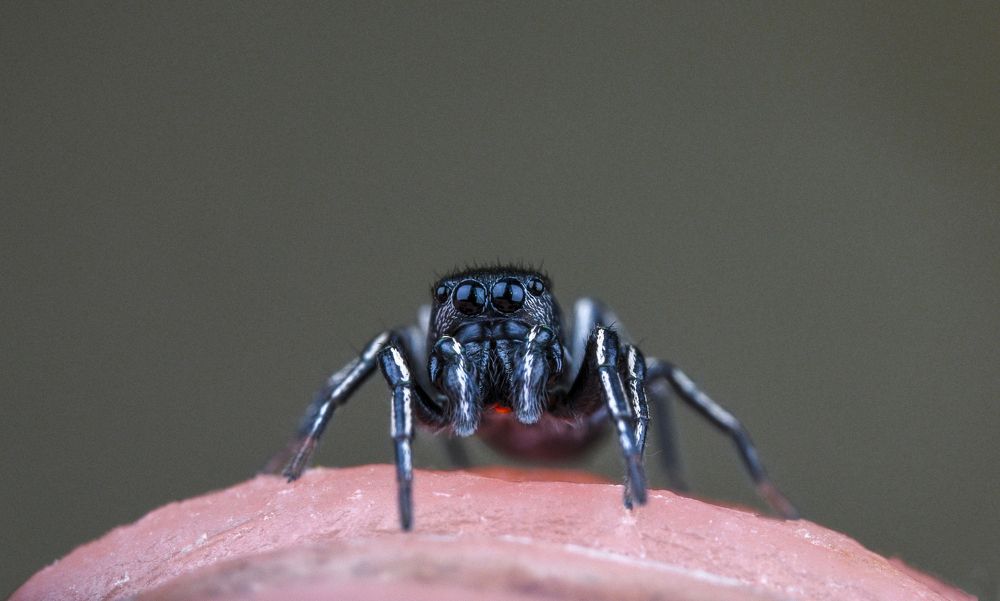 Photograph by Овечкин Павел