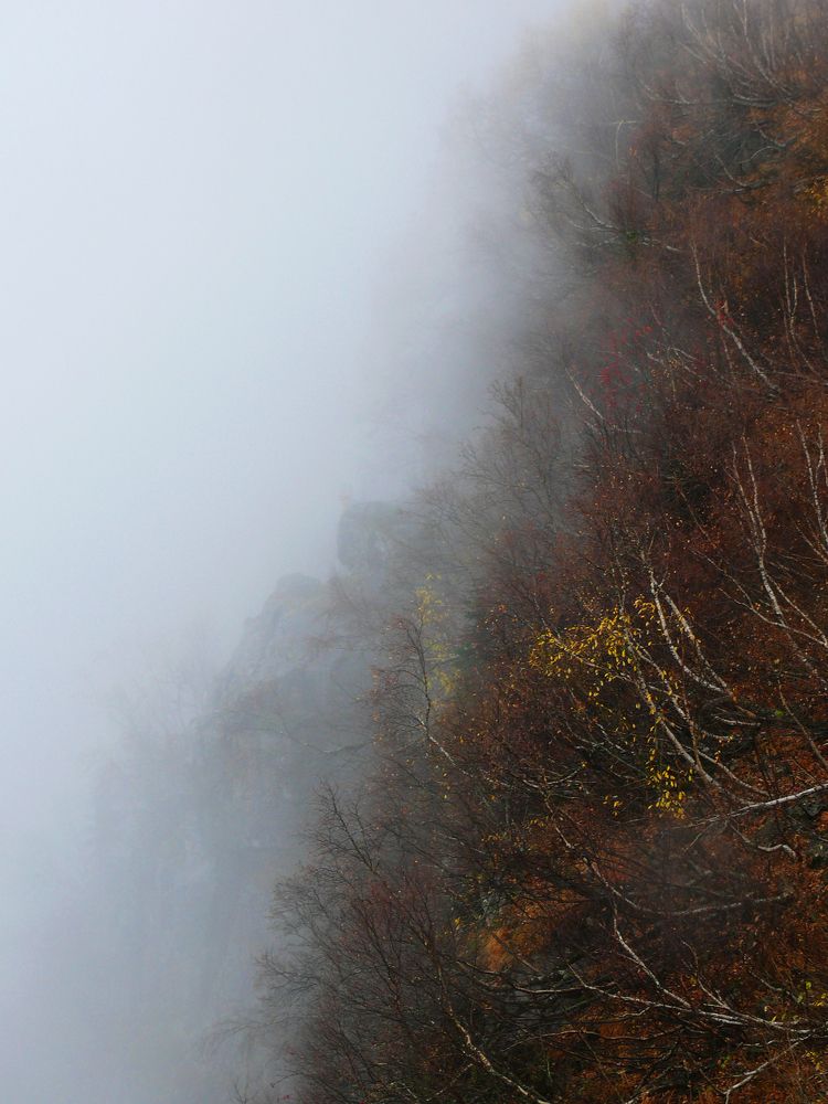Photograph by Василий