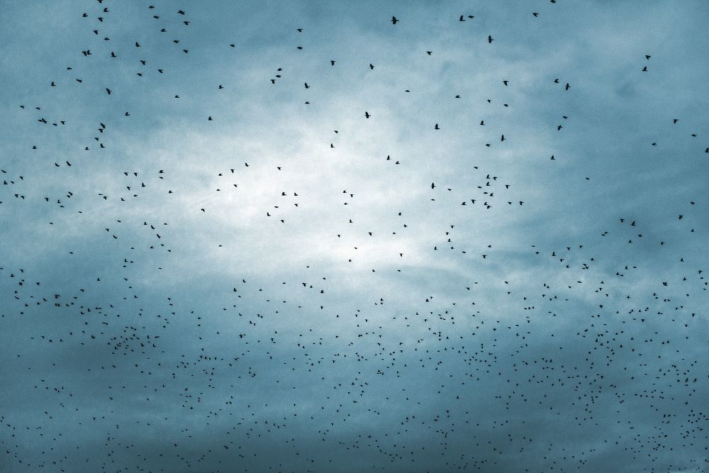 Photograph by Igor Bastrygin