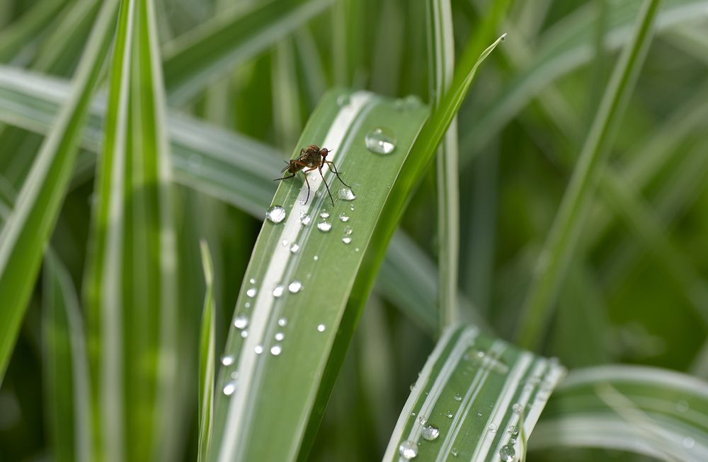 Photograph by Андрей Лукин