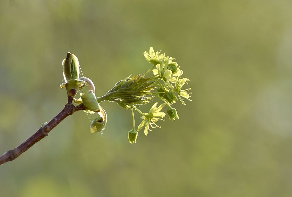 Photograph by Андрей Лукин