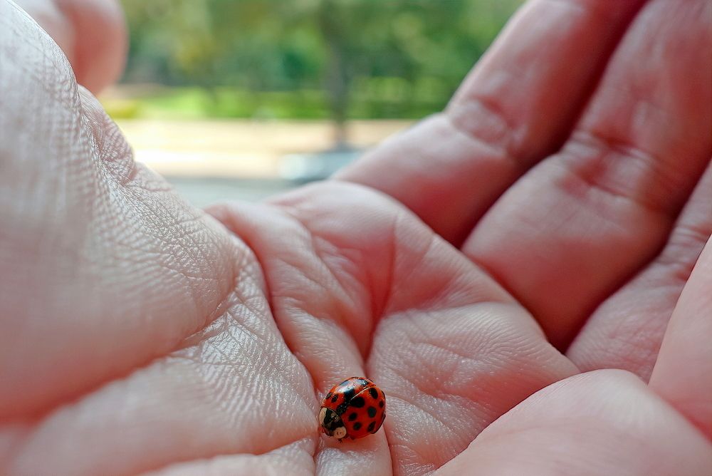 Photograph by Marcelo Luzzi