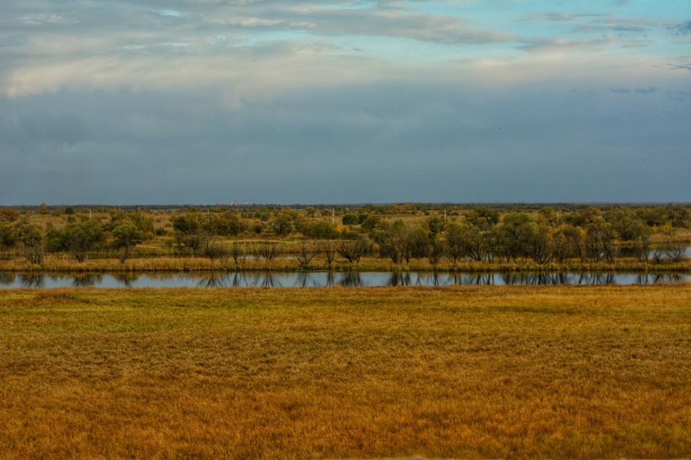Фотография автора Юлия Щинова