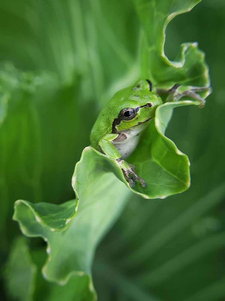 Photograph by Любовь Войтишина