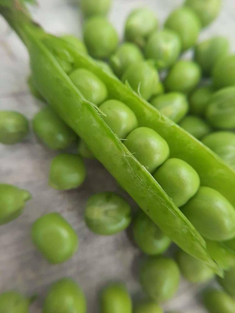 Photograph by Любовь Войтишина