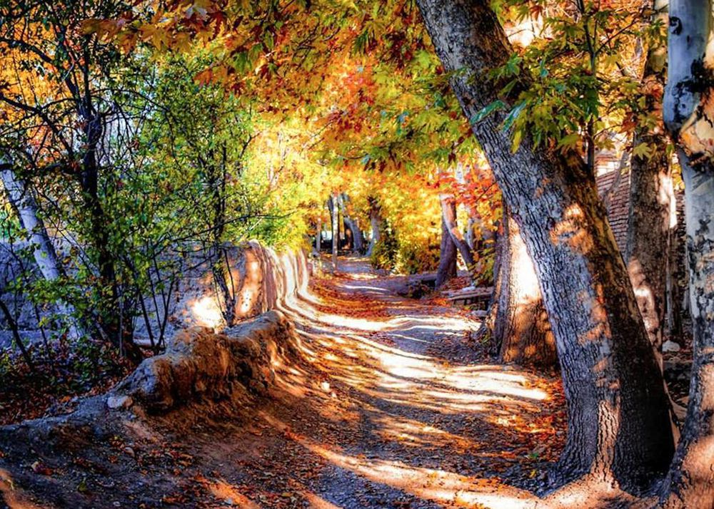 Фотография автора Mojtaba Gitinezhad