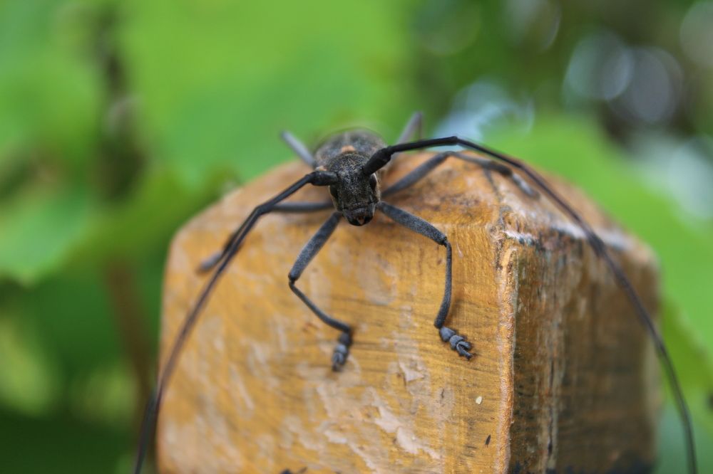 Photograph by Наталья Горбачева