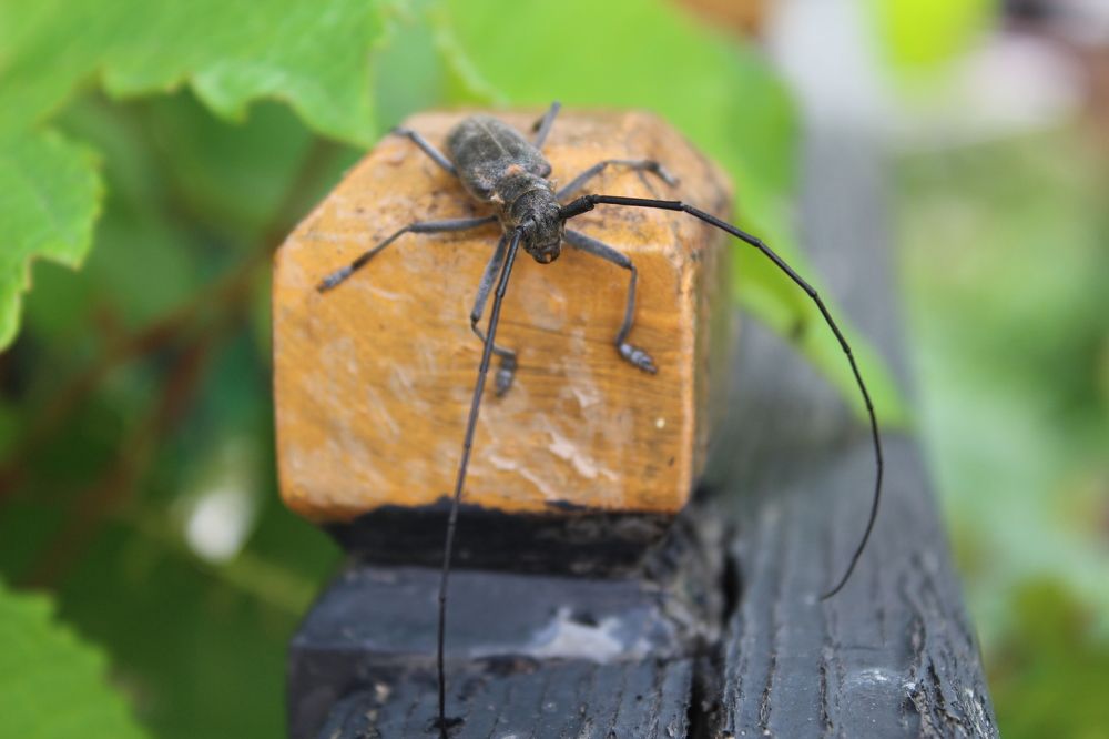 Photograph by Наталья Горбачева