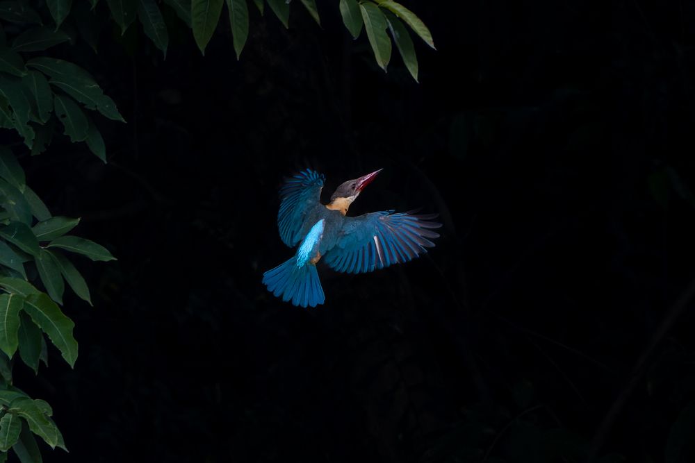 Photograph by Mohammad Ashraf Ali