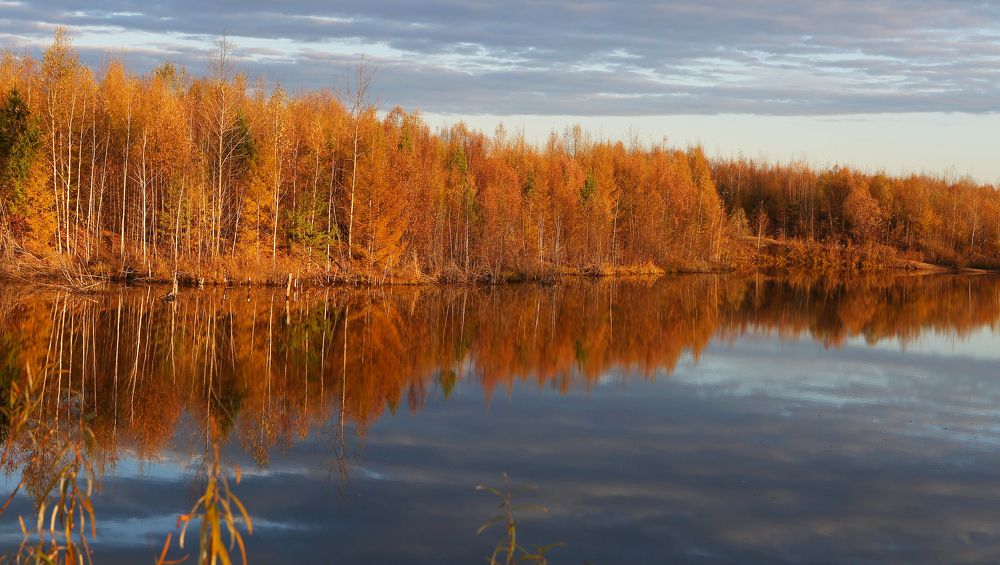 Осенний пейзаж