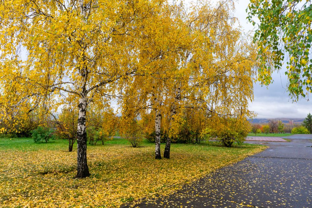 Photograph by Александр Пургин