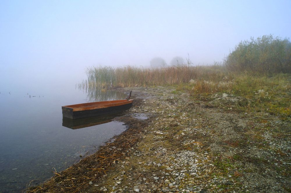 Photograph by Мишустина Татьяна