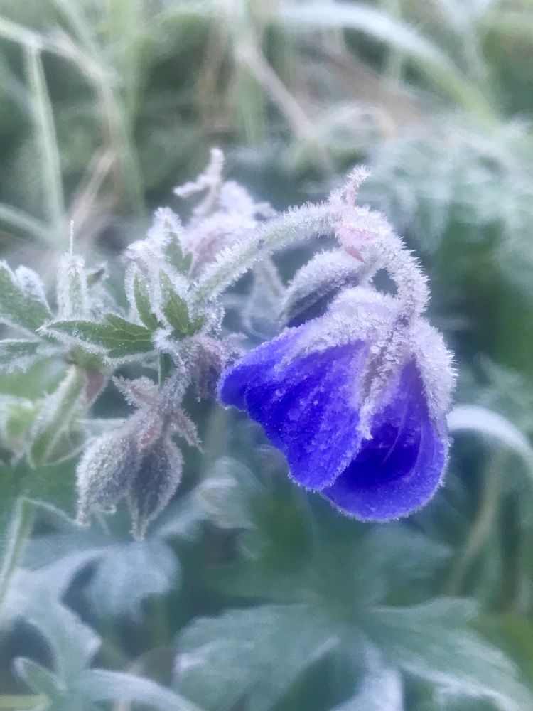 Photograph by Татьяна Шибанова