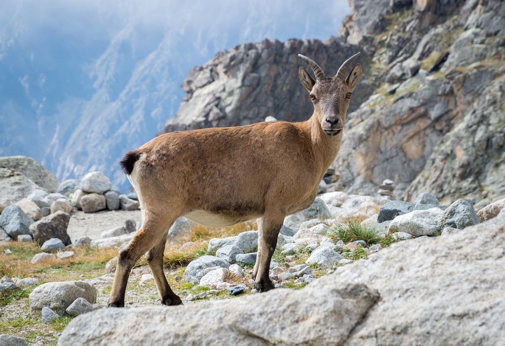 Photograph by Виктор Петров