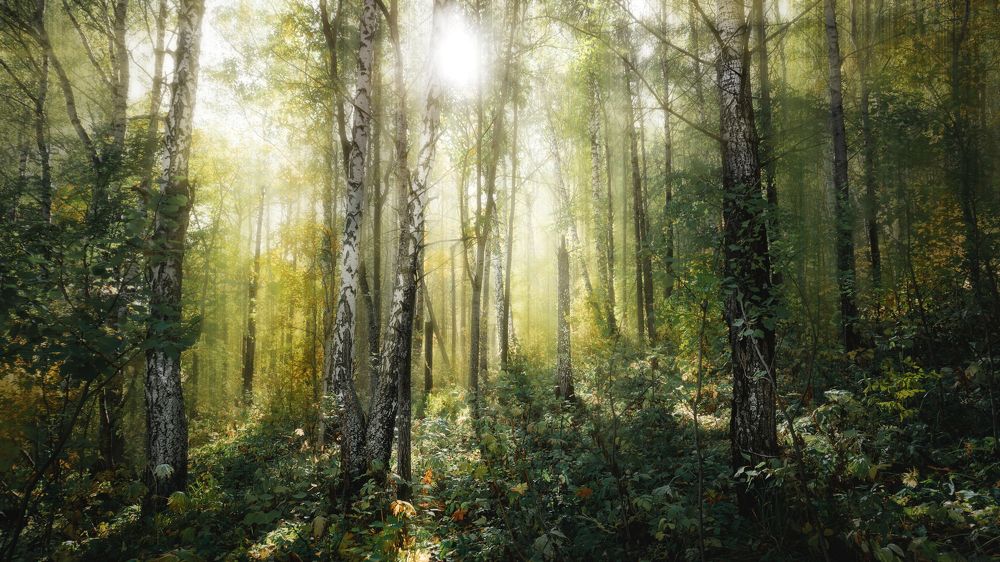 Photograph by Ivan Sazykin