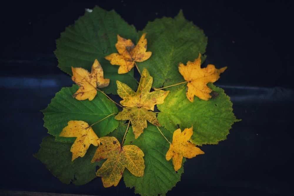 Photograph by Михаил Саидов