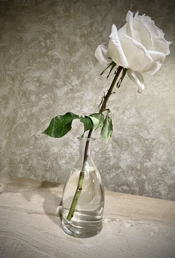 Photograph by Елена Джалалян
