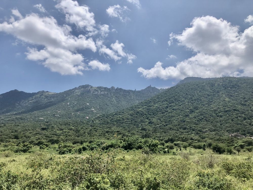 Photograph by Prabhu Viswanathan