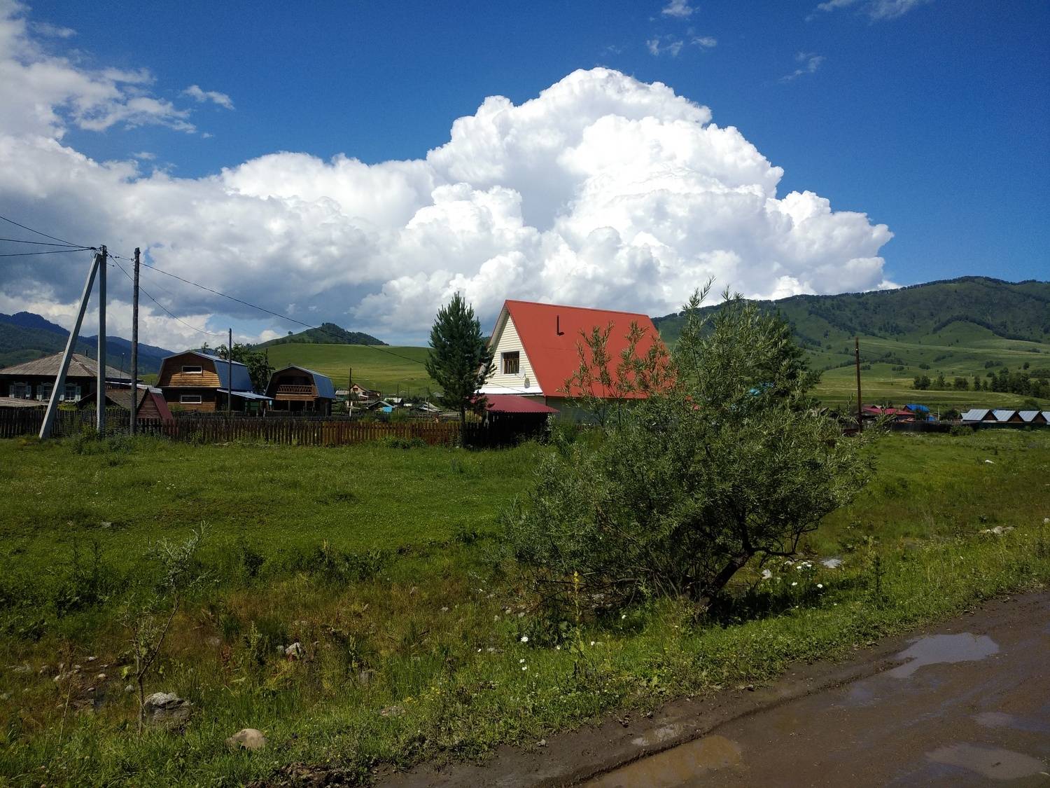 Photo #8096273