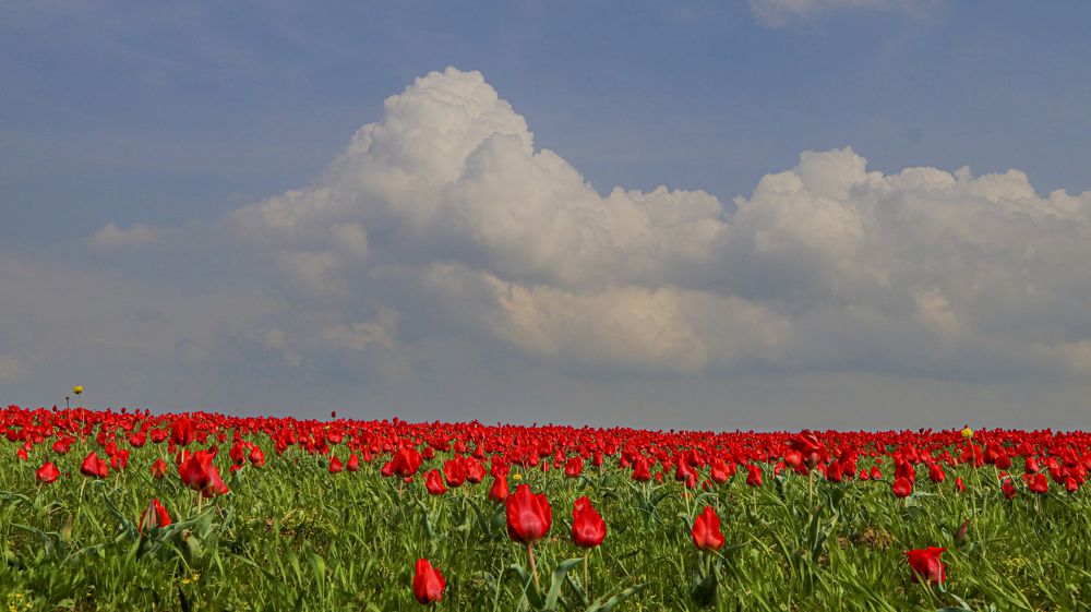 Photograph by Алтынбек Қартабай