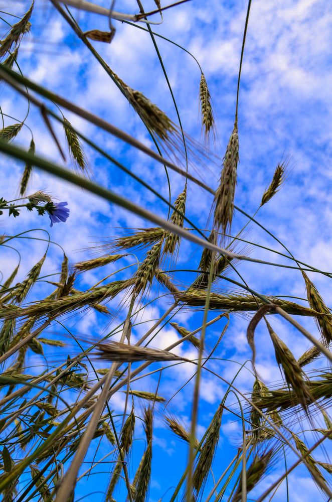 Photograph by Дарья Миронова