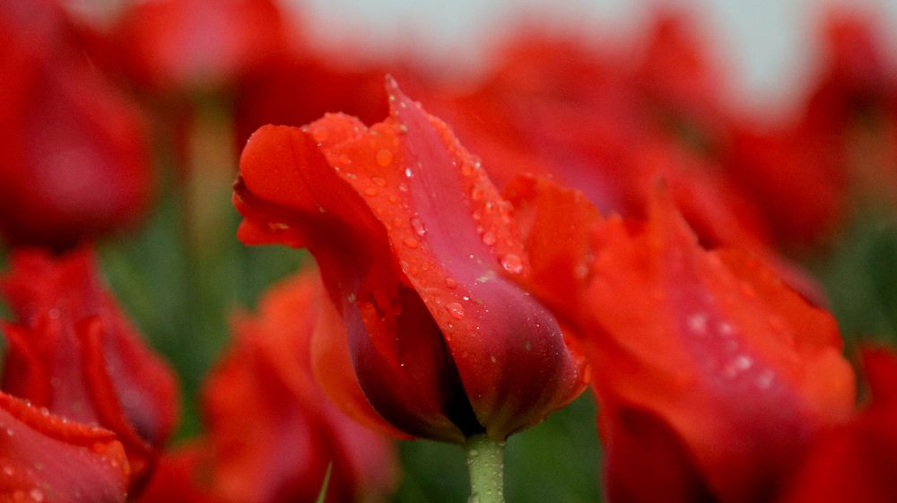 Photograph by Алтынбек Қартабай