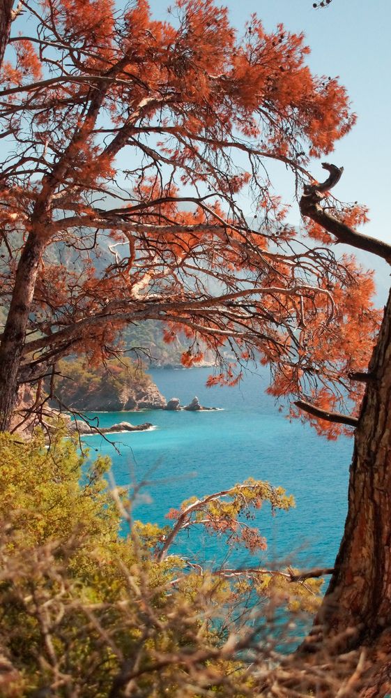 Photograph by Alp Aysgl