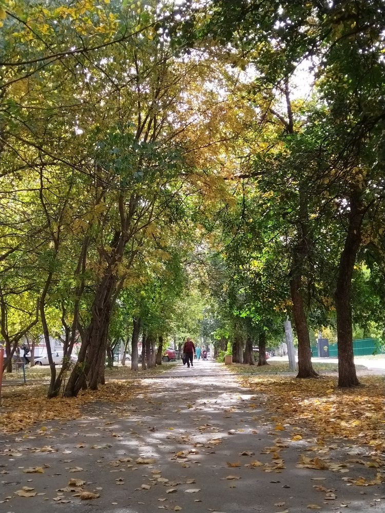 Photograph by Наталья Сметанина