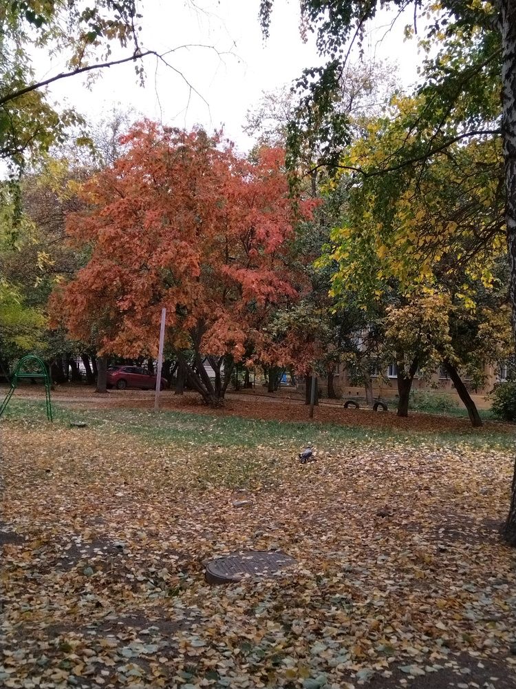Photograph by Наталья Сметанина