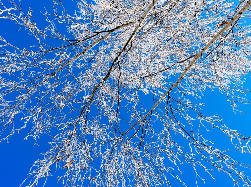 Photograph by Елена Вакумова