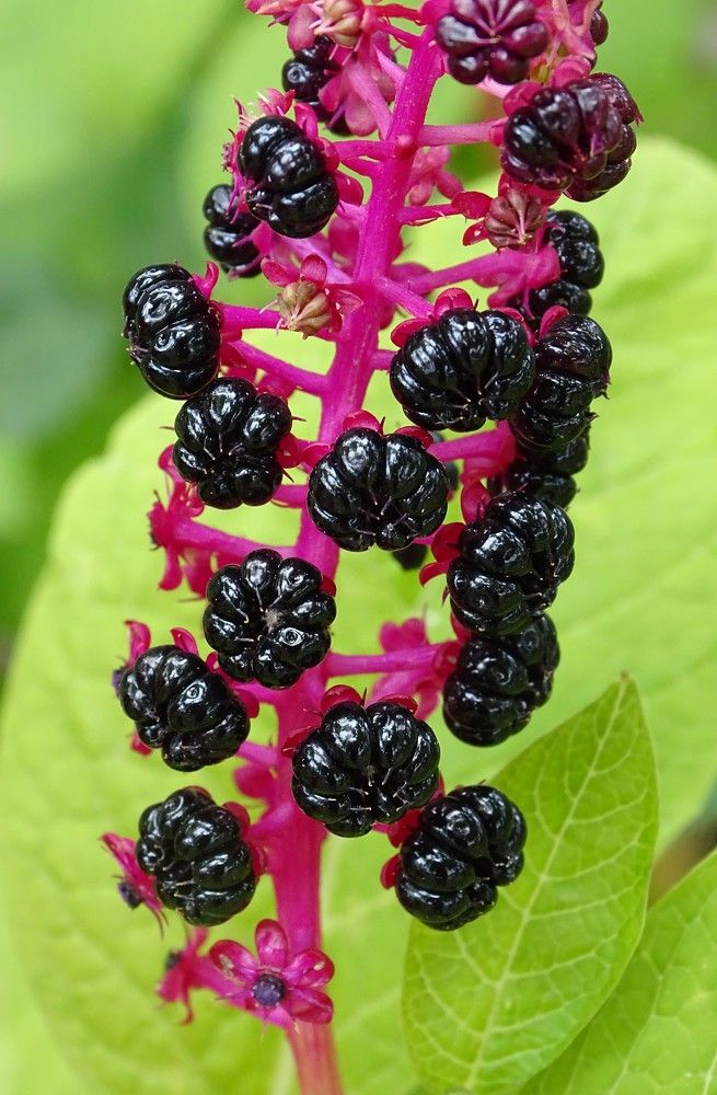 Photograph by Николай Худяков