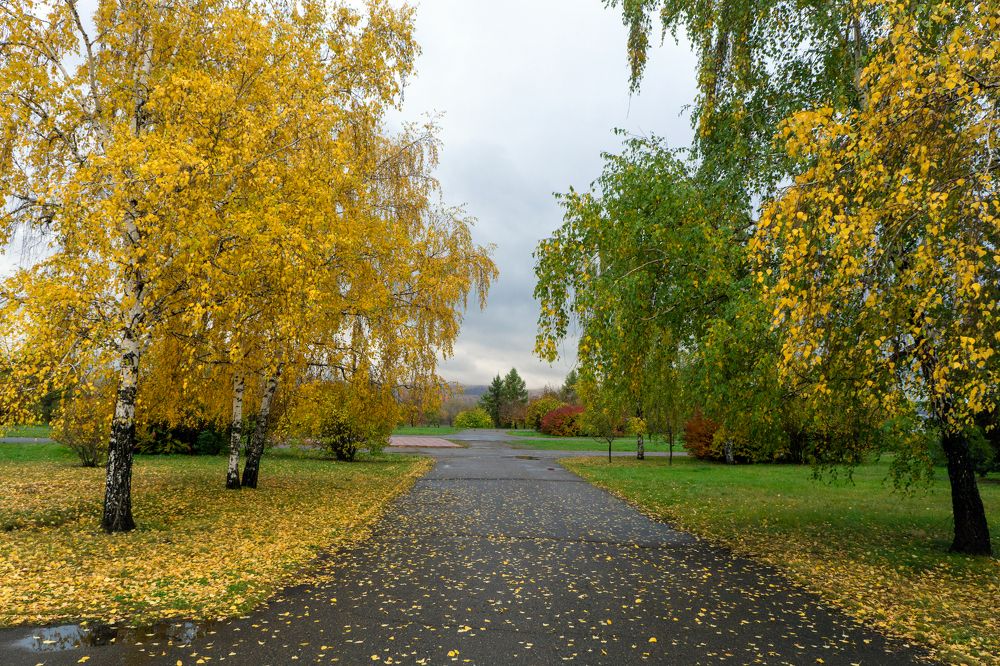 Photograph by Александр Пургин