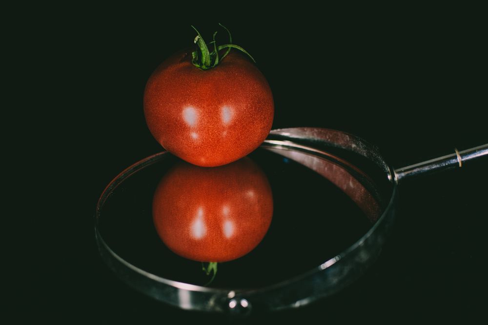 Photograph by Kamil Stępień