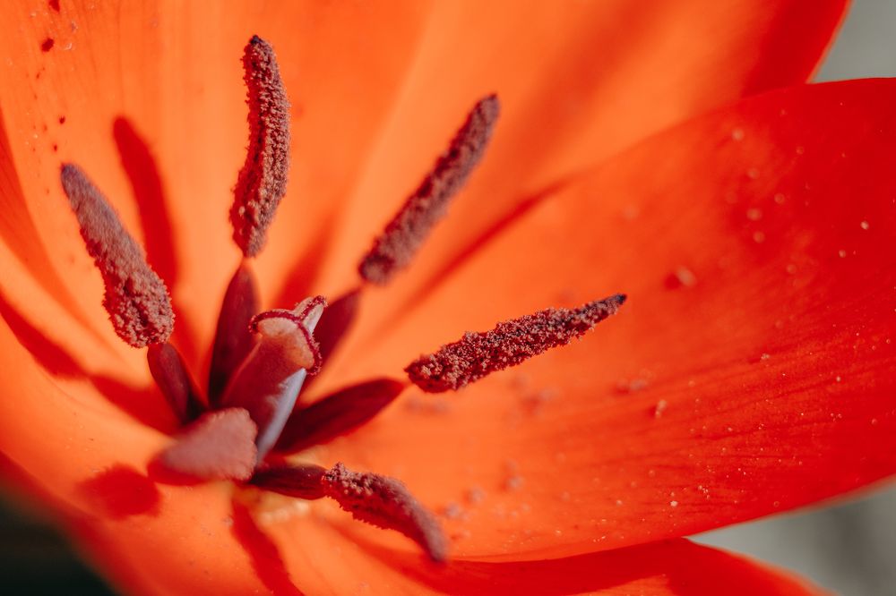 Photograph by Kamil Stępień