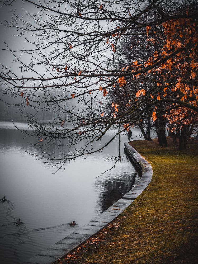 Photograph by Елена Башмакова