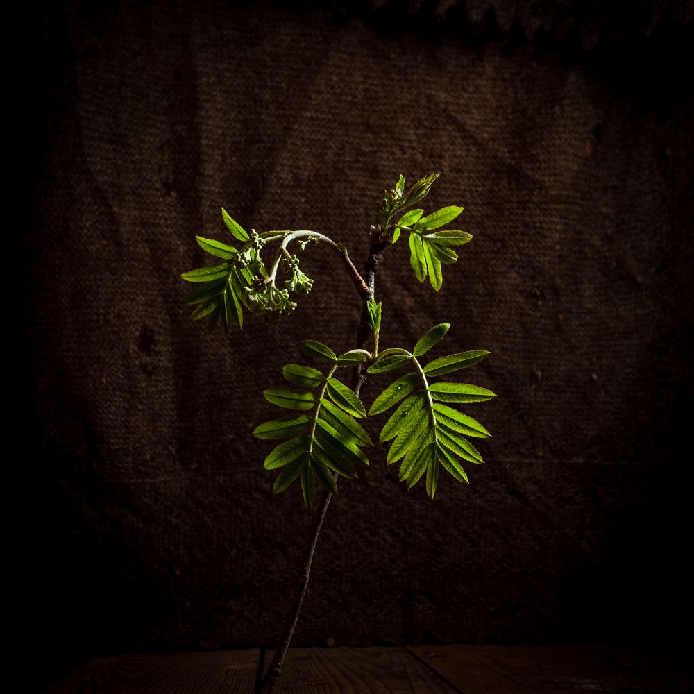 Photograph by Татьяна Макотра