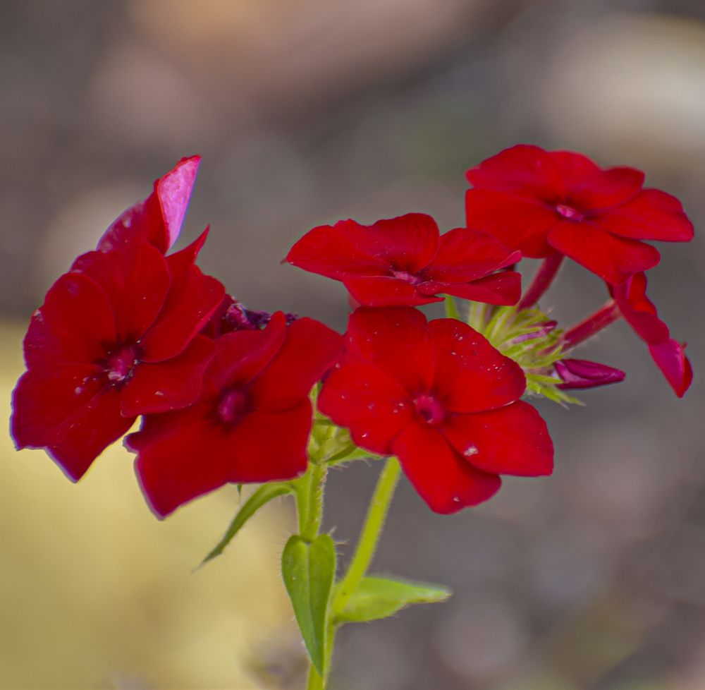 Photograph by Блохина Ольга