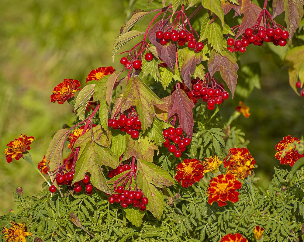 Photograph by Блохина Ольга