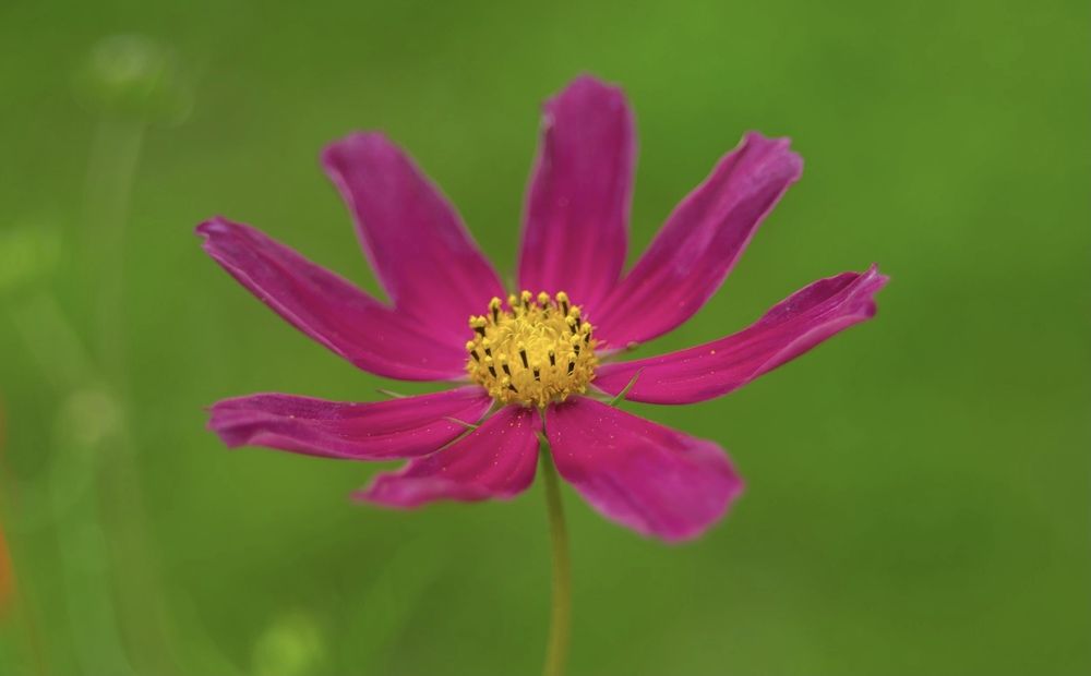 Photograph by Taras Shevchenko