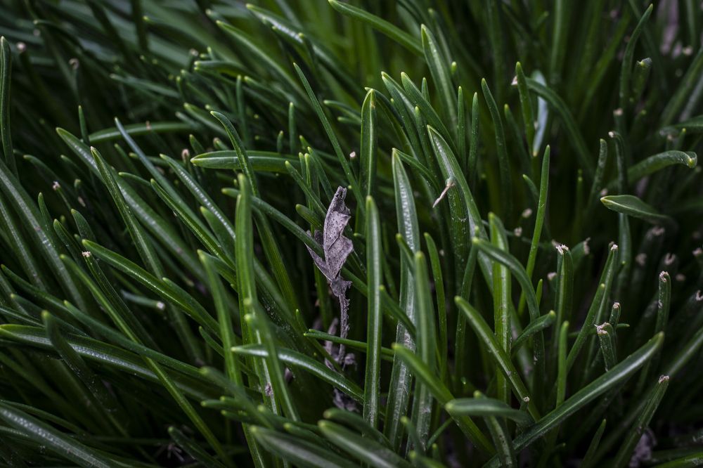 Photograph by Mihaela Chitoroagă