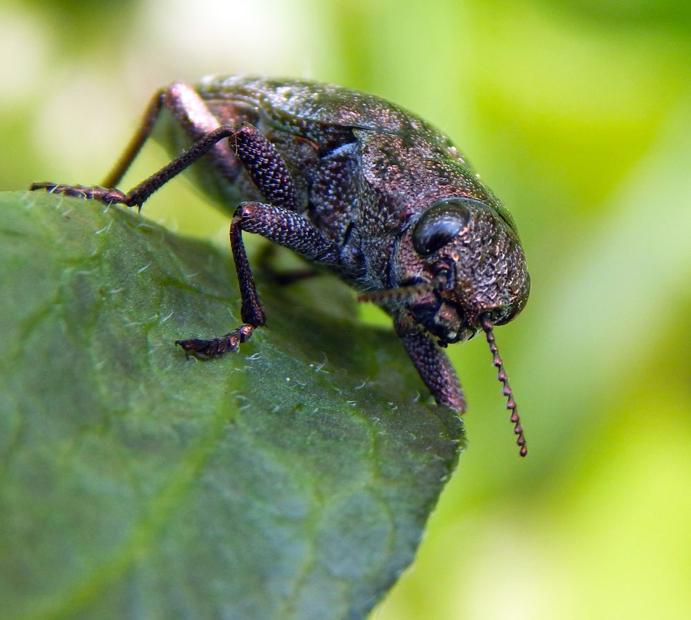 Photograph by Наталья Соколова