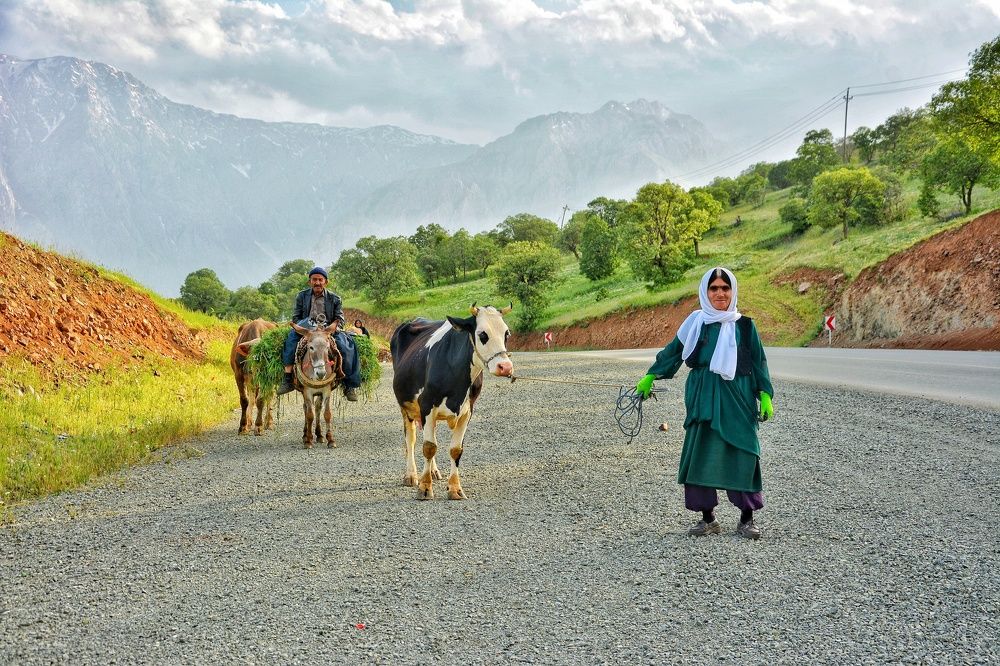 Photograph by Amin Golestanipour