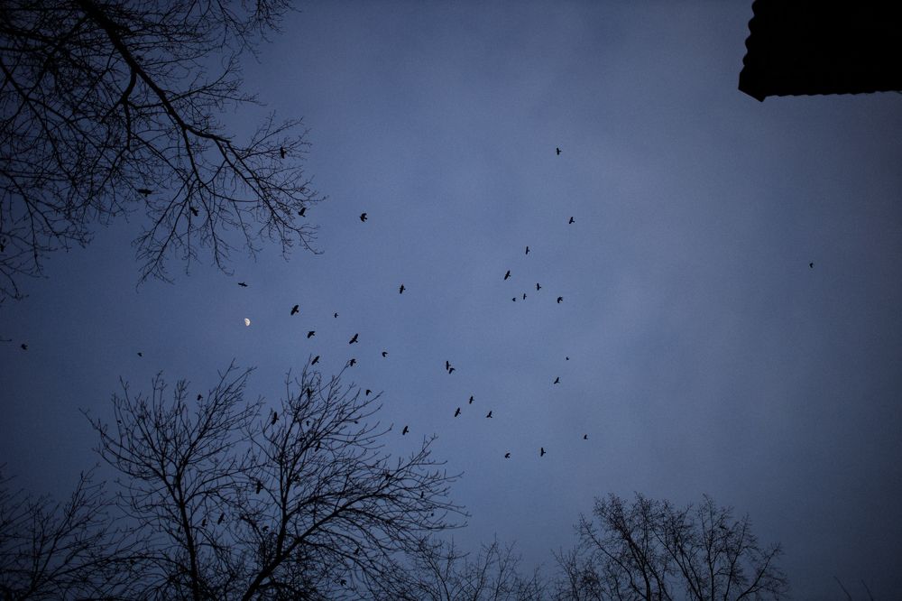 Photograph by Марина Подольская